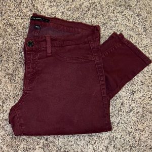 Flying Monkey Skinny Jeans